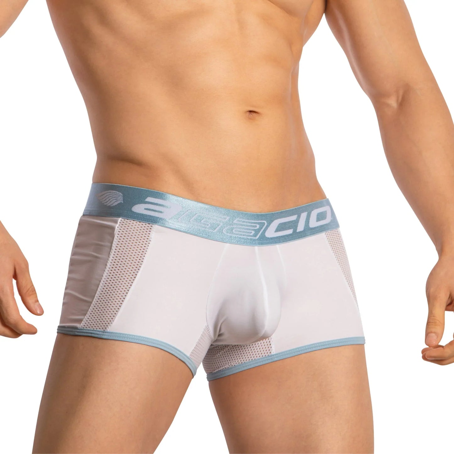 Agacio Boxer Sheer Trunks