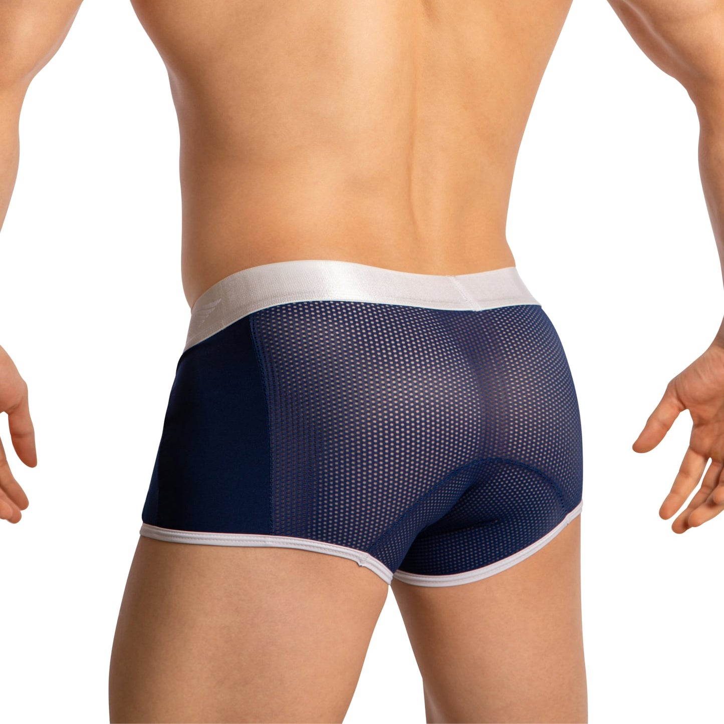 Agacio Boxer Sheer Trunks